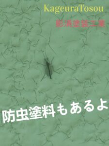 外壁塗装の虫対策について